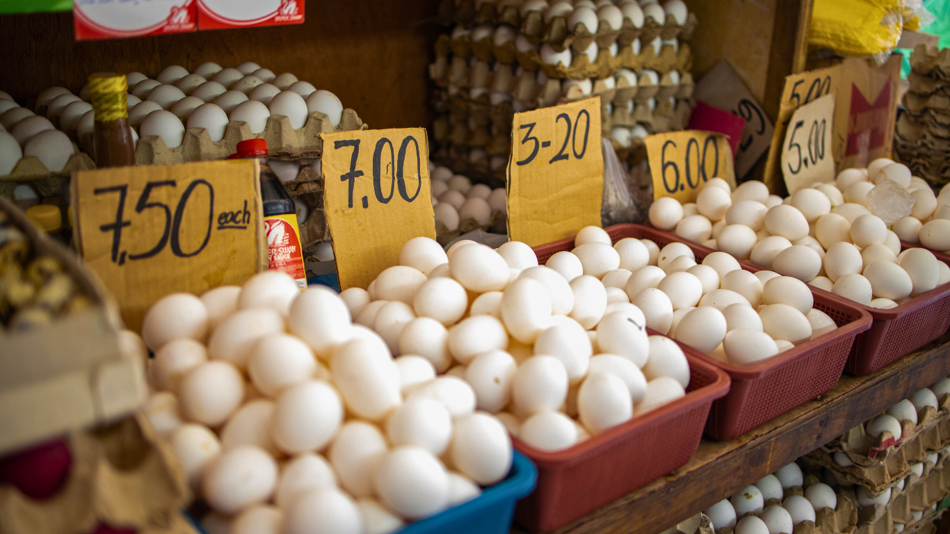 UNSCRAMBLING THE ECONOMY: INFLATION DROPS TO TWO-YEAR LOW AS EGG PRICES PLUNGE – WILL THE FED’S MAY RATE HIKE STAY ON THE MENU?